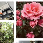 旅行で行った駅看板、花、風景などのフリー写真素材