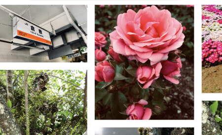 旅行で行った駅看板、花、風景などのフリー写真素材