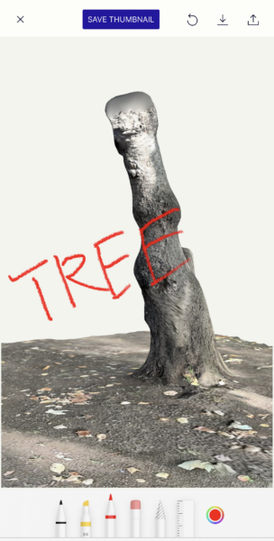 polycamの使い方　静止画作成画面