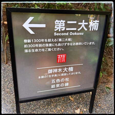 来宮神社の第2大楠