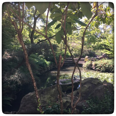 バンクーバー無料の方の中山公園