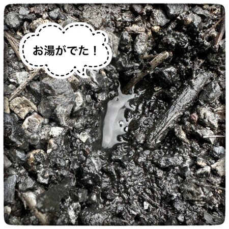 奥日光 湯元温泉源泉のお湯