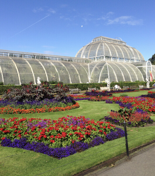 パームハウス　キューガーデンの大温室