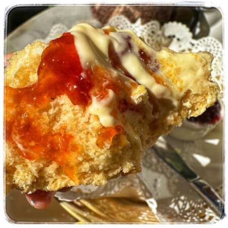 ティーコジーのスコーン