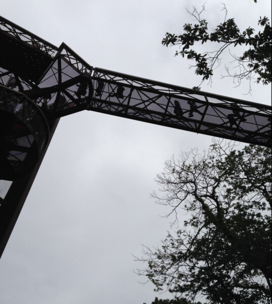 Treetop Walkway ツリートップウォークウェイ　キューガーデン